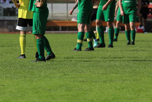 顾一下NB 顾一下NB