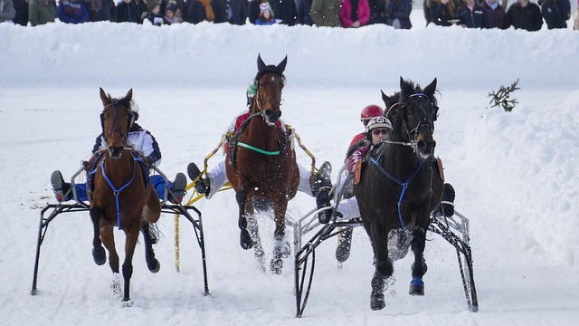 球迷的熱情 球迷的熱情