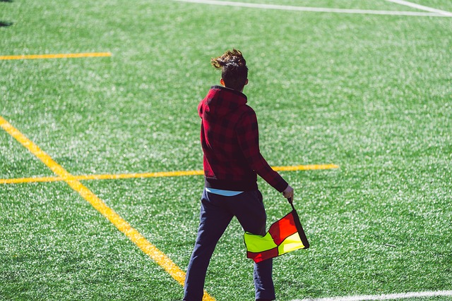 与职业生涯 与职业生涯