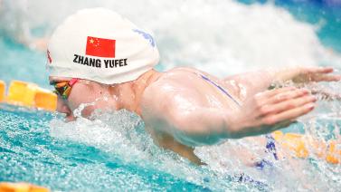 上苦苦奋斗 上苦苦奋斗