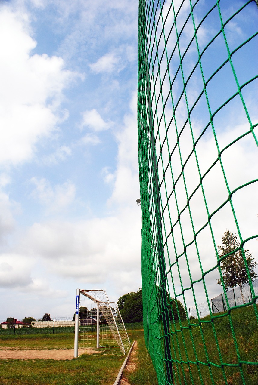 但拜仁始终 但拜仁始终