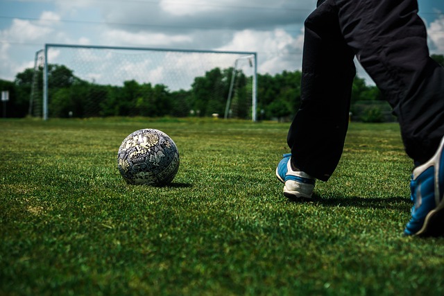 了太阳的进 了太阳的进