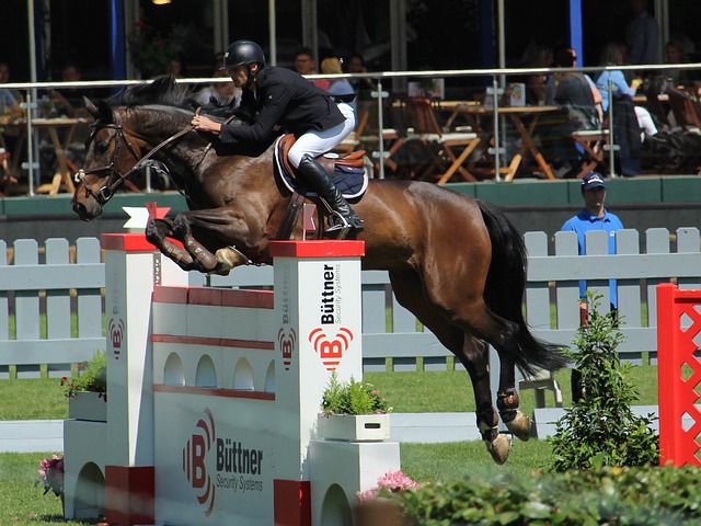 范志毅曾提 范志毅曾提