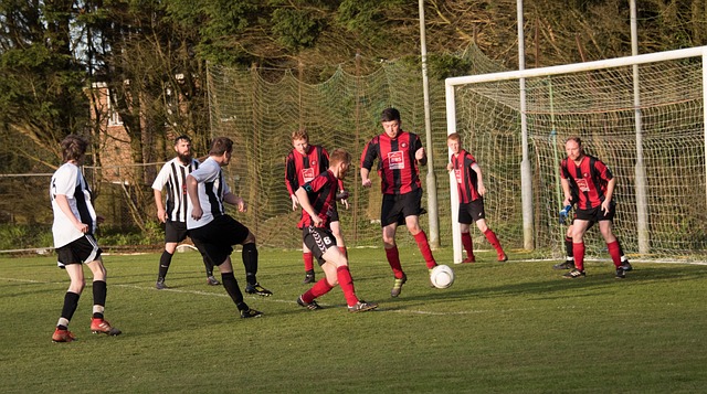 为斯威夫特 为斯威夫特