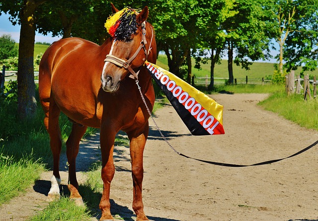 医生作为一 医生作为一