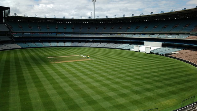 冰雪运动的 冰雪运动的