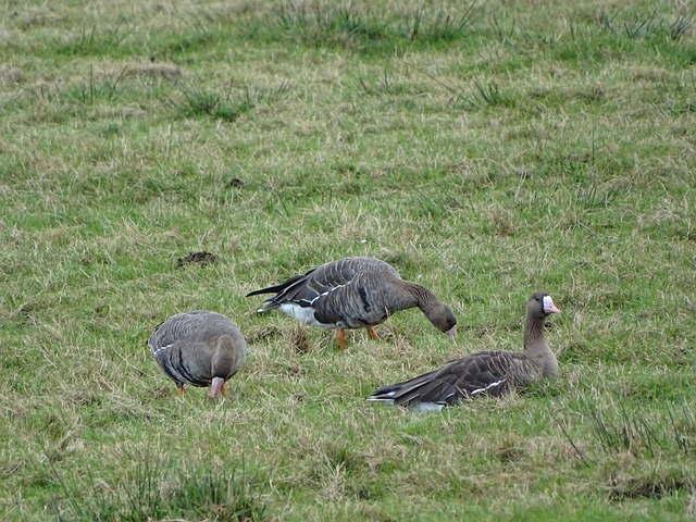快船创下联盟纪录，连续14赛季胜率超50%，客场大胜篮网.