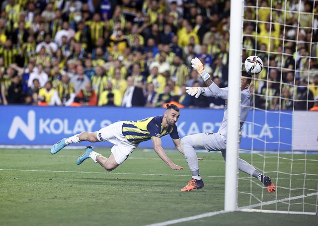 多种多样 多种多样