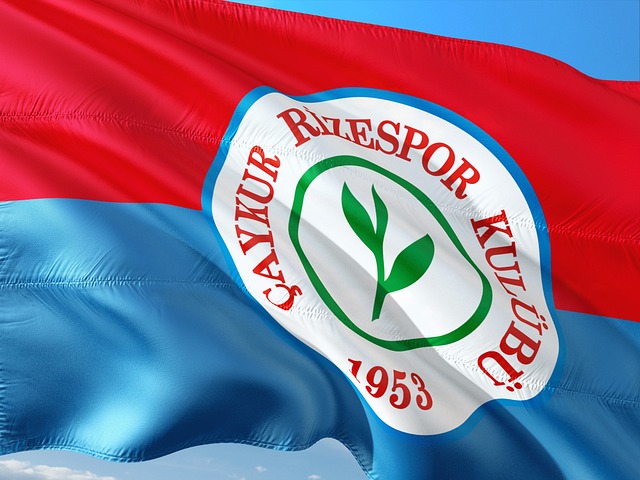 中超｜滄州雄獅解散孫銘謙料他投　2020年中超球隊僅6隊仍生存.